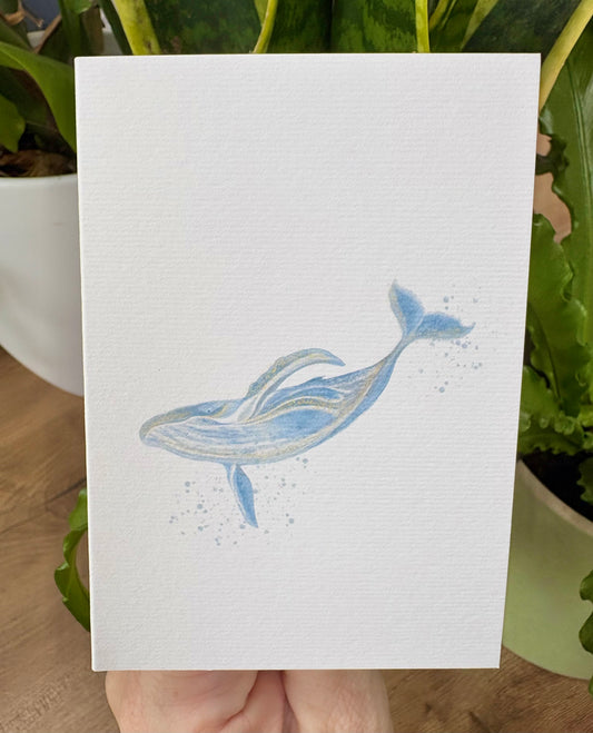 Mini Whale A7 Card