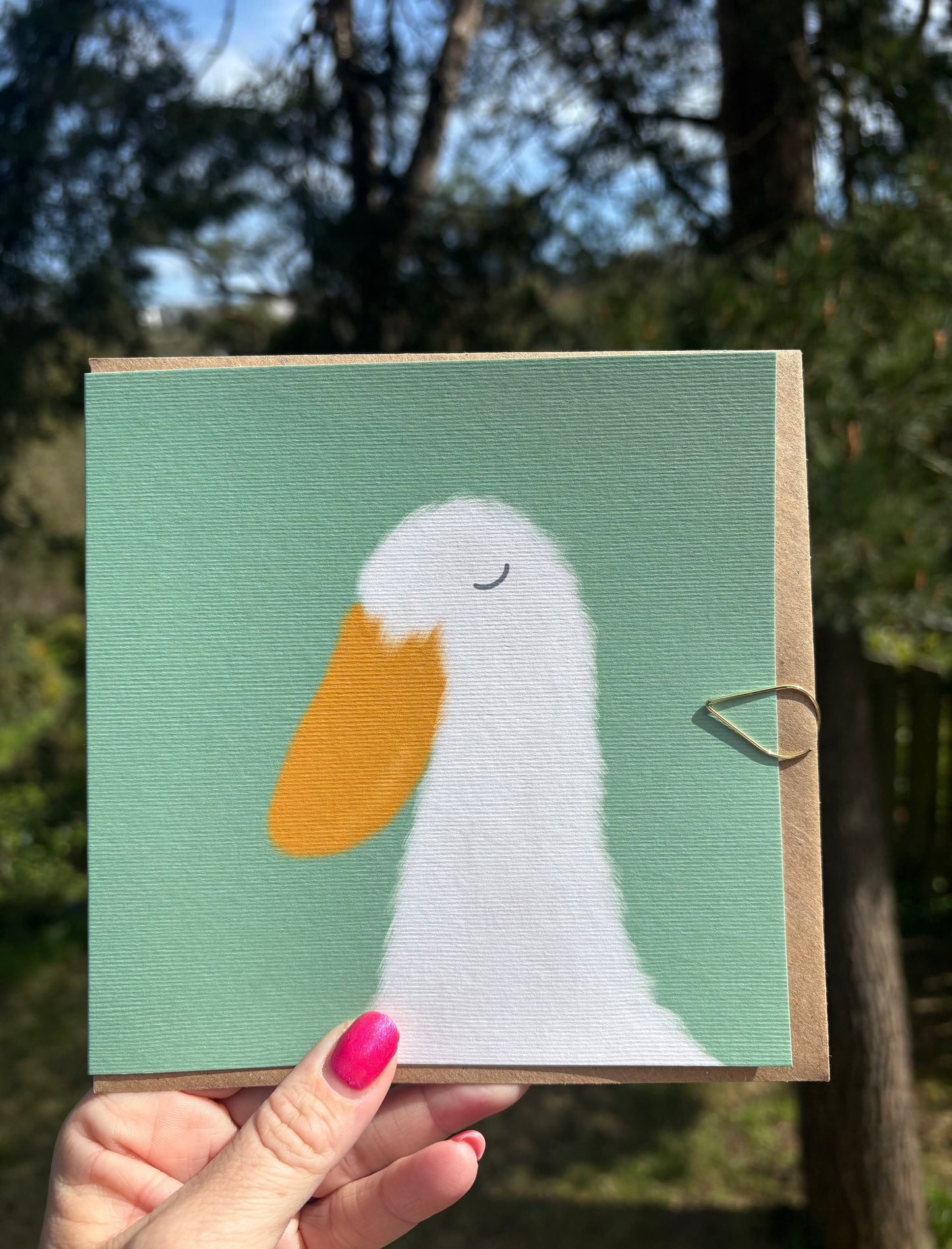 Fluffy Runner Duck - any occasion card
