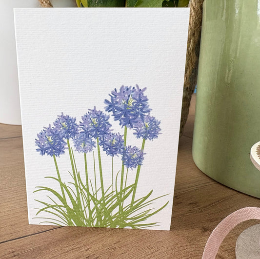 Mini Agapanthus A7 Card