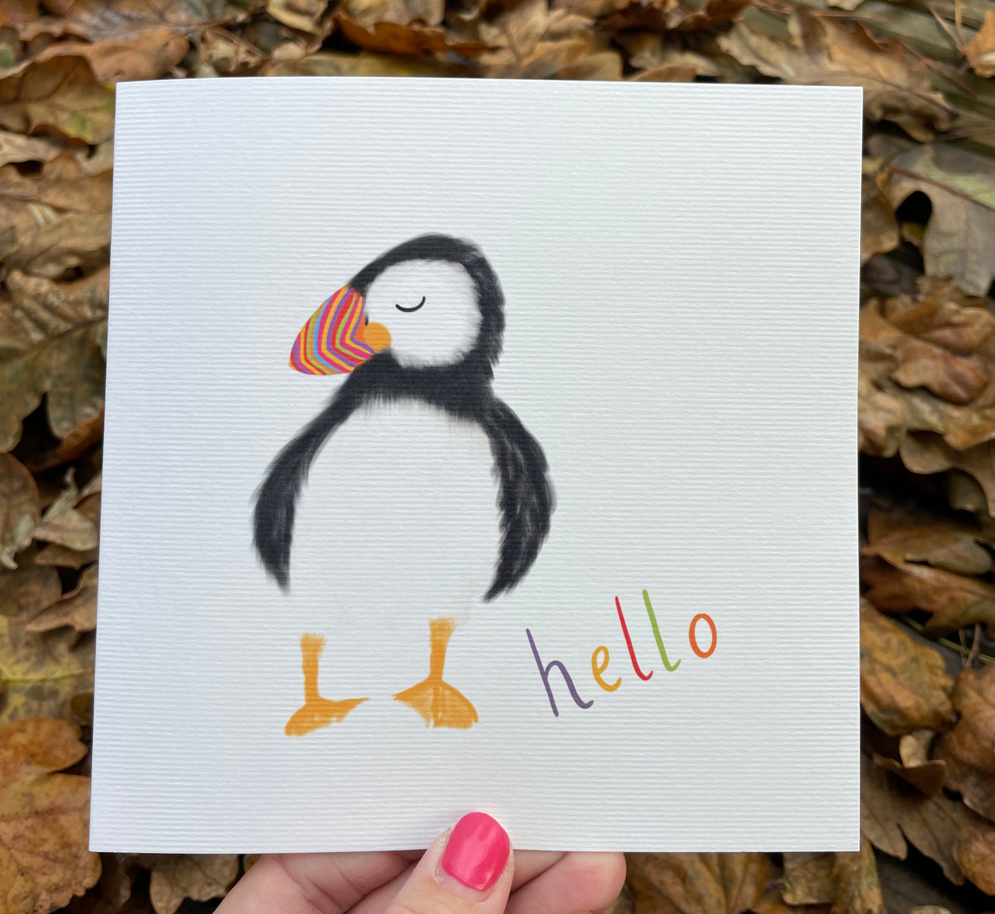 Rainbow Puffin - Hello