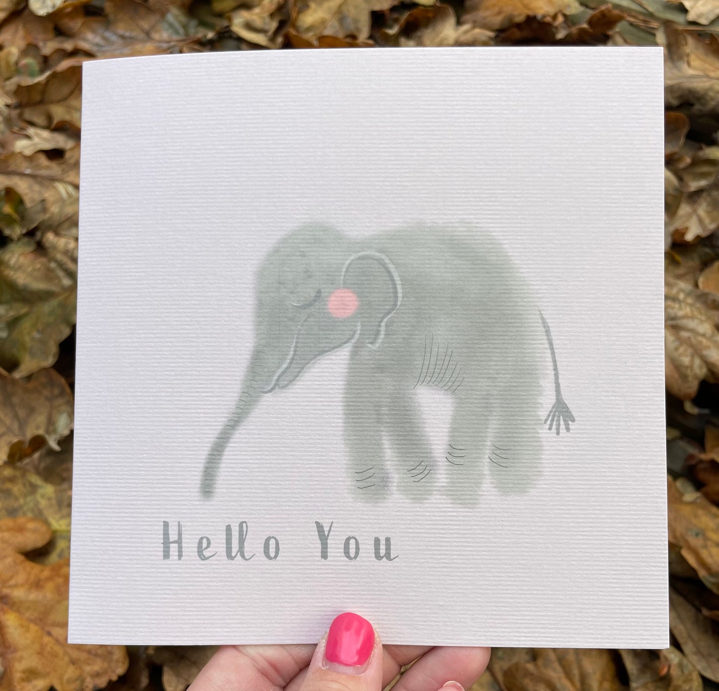 Little Elephant - Hello You