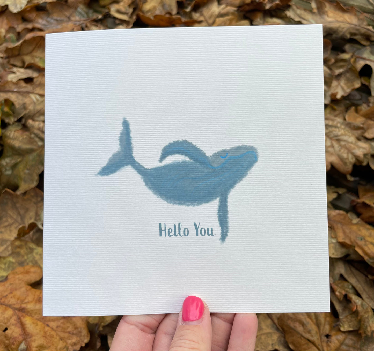 Little Whale - Hello You